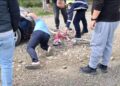 VIDEO. Copilă de 4 ani, lovită de mașină sub ochii tatălui