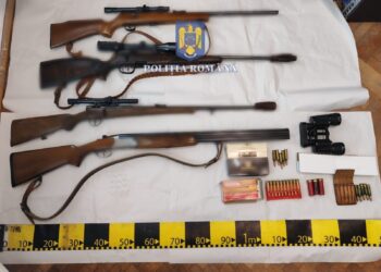 Flagrant și percheziții privind traficul ilegal de arme în județul Timiș