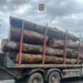Autoutilitară încărcată cu material lemnos fără documente de proveniență, indisponibilizată de polițiști