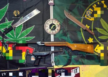 Rezultatele celor 37 percheziții domiciliare privind traficul de droguri