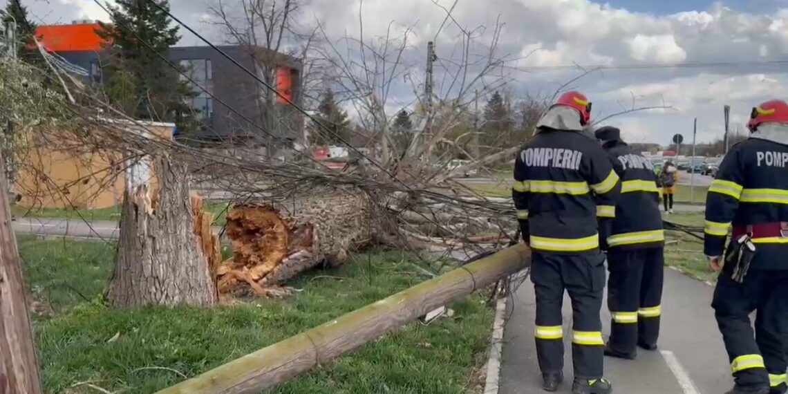 Vântul puternic a provocat daune puternice în Timiș