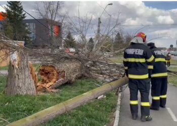 Vântul puternic a provocat daune puternice în Timiș