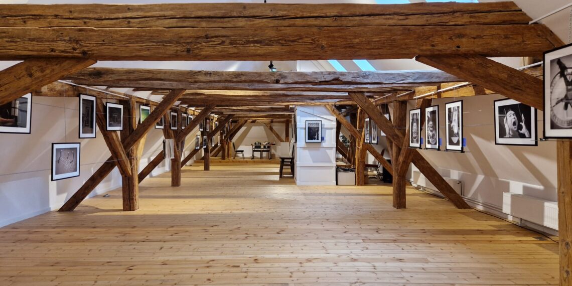 Oferta culturală a Consiliului Județean Timiș în perioada 4 martie – 9 martie