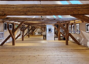 Oferta culturală a Consiliului Județean Timiș în perioada 4 martie – 9 martie  