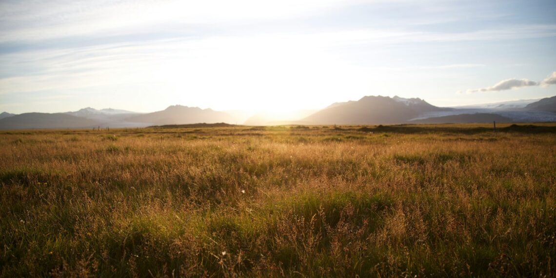 Anunț privind sectoarele cadastrale nr. 34 și 52 din Lugoj