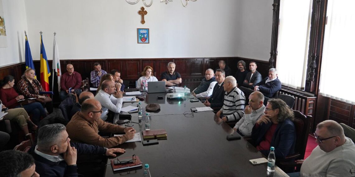 Proiecte importante, incluse în bugetul Lugojului, aprobate în ședința Consiliului Local