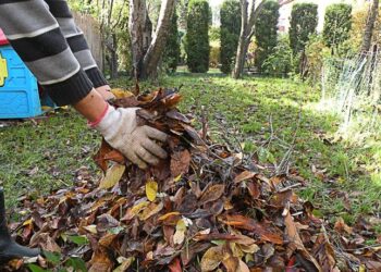 Curățenie de primăvară la Lugoj. Începe colectarea resturilor vegetale