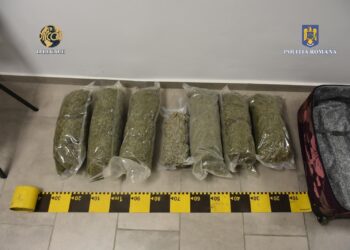 Acțiune împotriva traficului de droguri