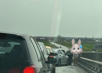 Carambol cu 3 mașini aproape de Timișoara. O pasageră a ajuns la spital