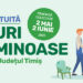 Campanie trimestrială de colectare gratuită a deșeurilor voluminoase în Zona 1 Rural Timiș – 2025