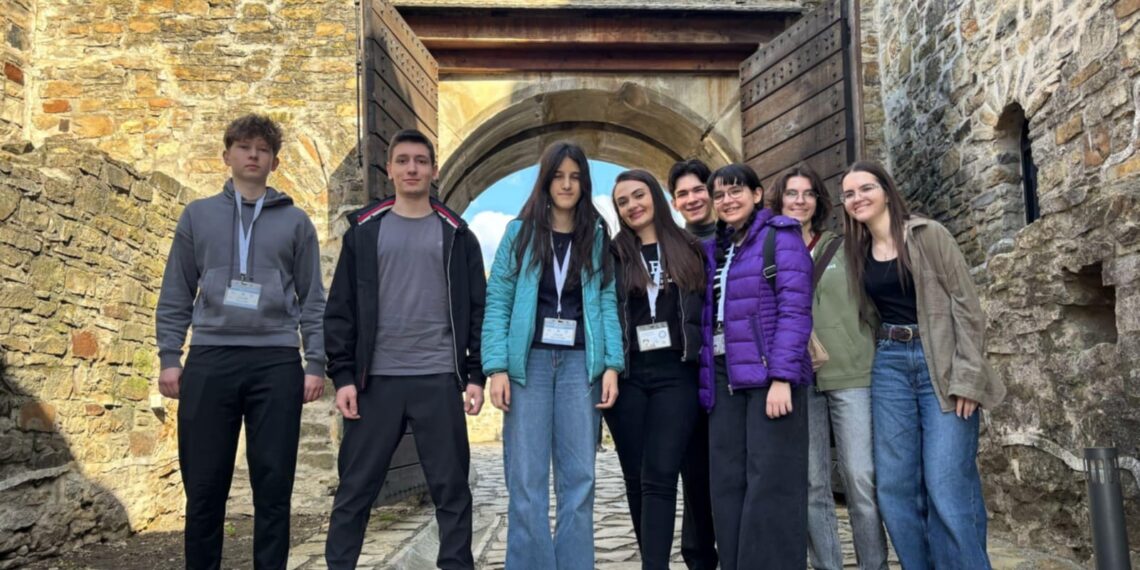 Elevii din Timiș strălucesc la Olimpiada Națională de Matematică 2025! Cinci distincții și două calificări la baraj pentru lotul județean