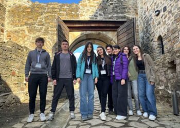 Elevii din Timiș strălucesc la Olimpiada Națională de Matematică 2025! Cinci distincții și două calificări la baraj pentru lotul județean