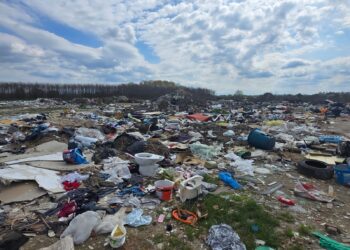 Groapă clandestină pe strada Herendeștiului din Lugoj! Primarul Călin Dobra a surprins un șofer care intenționa să descarce deșeuri ilegal