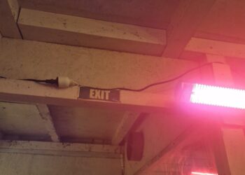 ISU continuă controalele la operatorii economici. Amenzi de peste 74 mii de lei