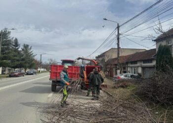 Primarul Dobra: Campania de colectare a deșeurilor vegetale s-a încheiat!