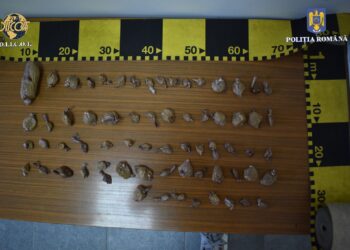 Traficanți de droguri din vest, săltați. Au vândut și oferit droguri de mare risc