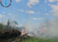 Incendiu de vegetație în județul Arad. Apel la responsabilitate din partea pompierilor