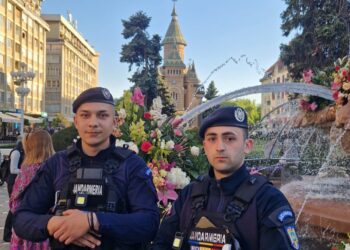 Incendiu la o hală din Arad