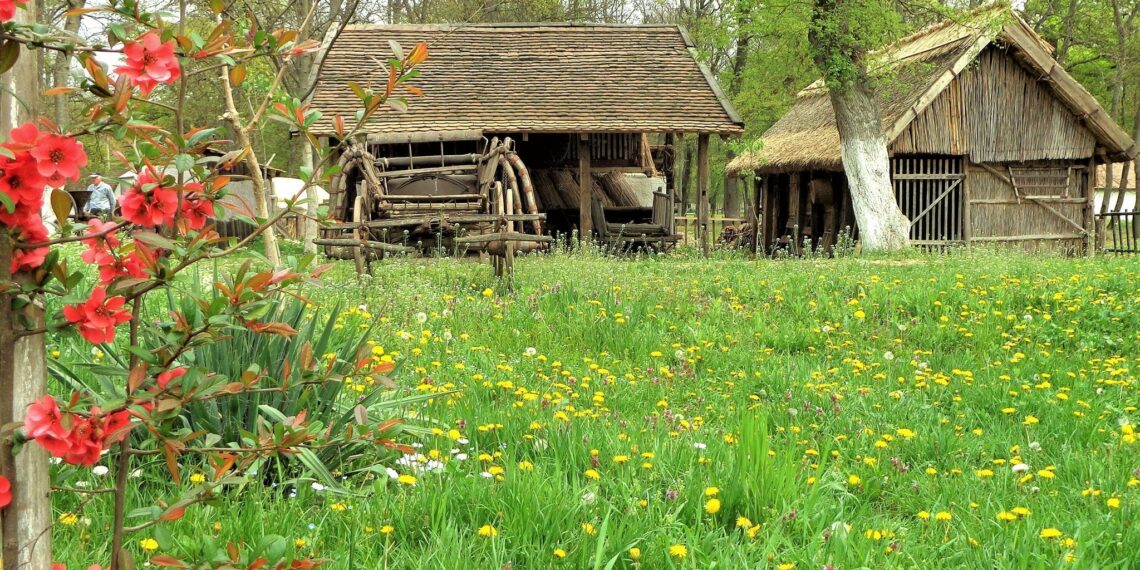 Oferta culturală a Consiliului Județean Timiș pentru perioada 29 aprilie – 4 mai