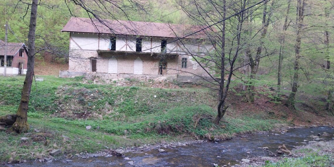 Alfred Simonis: Situația taberelor din județul Timiș este una complicată