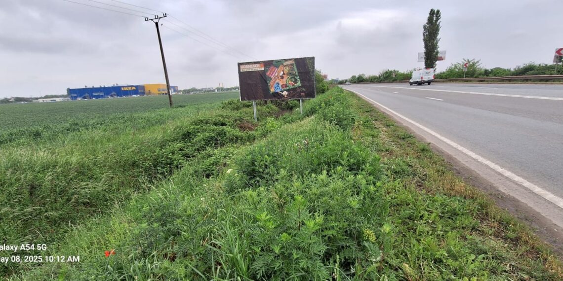 Amendă de 30.000 lei pentru un bărbat care a aruncat deșeuri în zona Calea Aradului