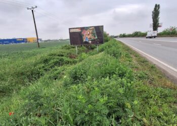 Amendă de 30.000 lei pentru un bărbat care a aruncat deșeuri în zona Calea Aradului