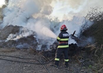 1249 de misiuni ale pompierilor militari arădeni în luna aprilie