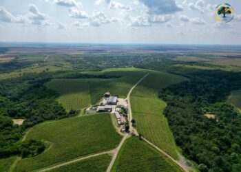 Maratonul Inimii revine în 2025: un eveniment sportiv și caritabil pentru iubitorii de alergare