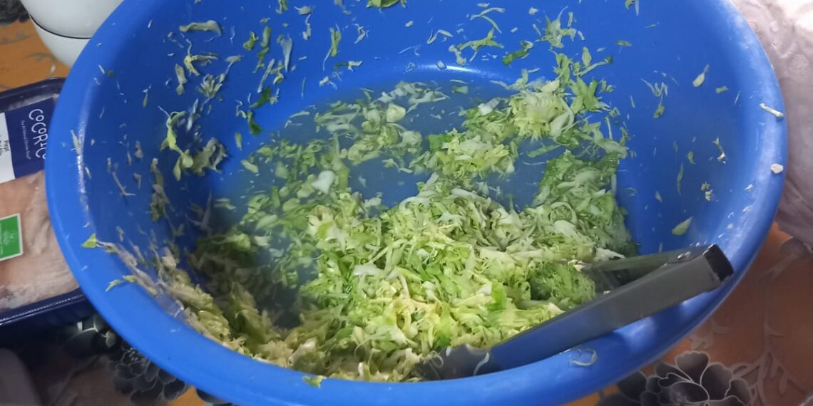 Dezastru la o pensiune din Moșnița Nouă. Ce au găsit comisarii de la OPC/Foto