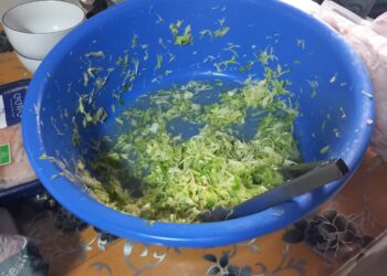 Dezastru la o pensiune din Moșnița Nouă. Ce au găsit comisarii de la OPC/Foto