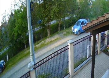 Un bărbat din Moșnița Nouă a ajuns în atenția Poliției după ce a ucis un câine