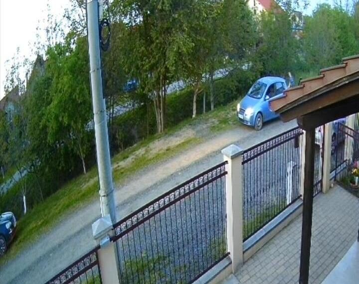 Un bărbat din Moșnița Nouă a ajuns în atenția Poliției după ce a ucis un câine