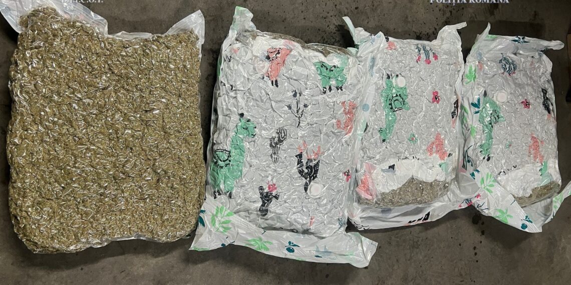 Doi traficanți de droguri din Banat, săltați de mascați/Video