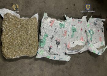 Doi traficanți de droguri din Banat, săltați de mascați/Video