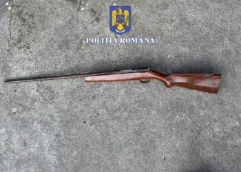 Percheziții la trei timișeni care dețineau ilegal arme