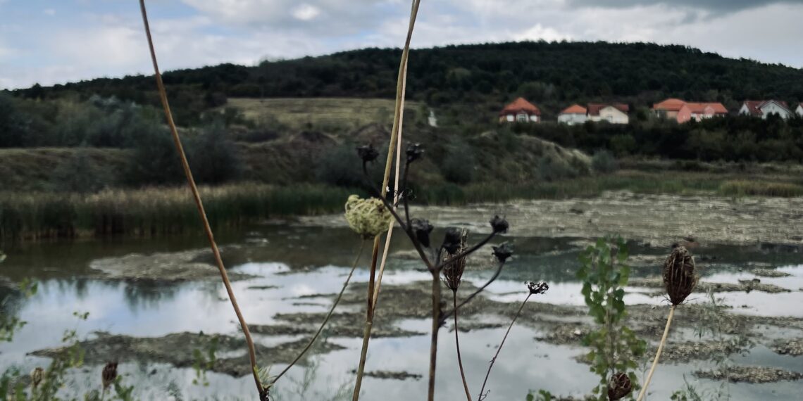 Soluții naturale pentru creșterea gradului de reziliență la schimbările climatice pe terenuri private de la ABA Banat