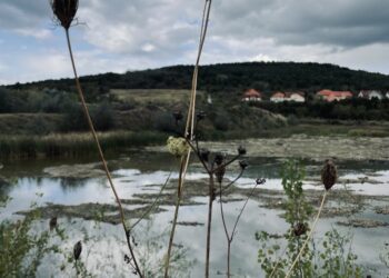 Soluții naturale pentru creșterea gradului de reziliență la schimbările climatice pe terenuri private de la ABA Banat