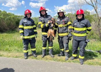 Peste 310 intervenții ale pompierilor timișeni în weekendul prelungit