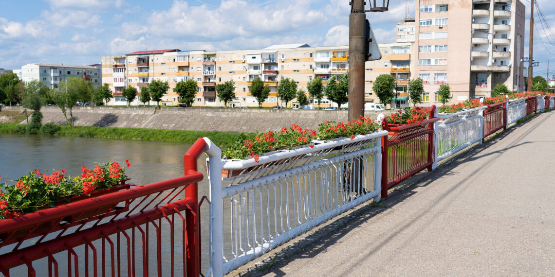 Lugojenii, certați pentru florile „rătăcite” de pe poduri. Primăria face apel la bun simț: „Nu le mai luați acasă!”