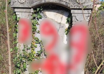 Tineri cercetați pentru mai multe infracțiuni în cadrul unor organizații ilegale