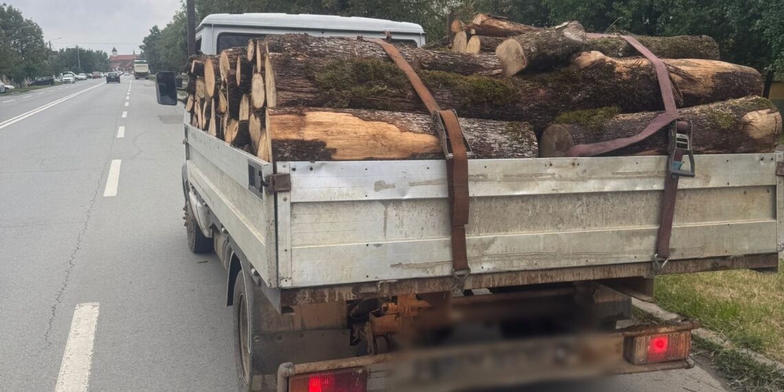 Lemne confiscate de polițiști în Timiș