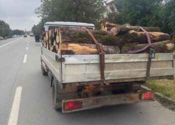 Lemne confiscate de polițiști în Timiș