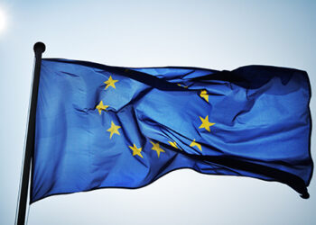 Parteneriat educațional pentru promovarea valorilor europene în școlile din Timișoara