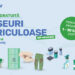 Colectarea deșeurilor periculoase din menajer, cu predare gratuită, în Zona 1 Rural a județului Timiș – Campanie RETIM și ADID Timiș 2025