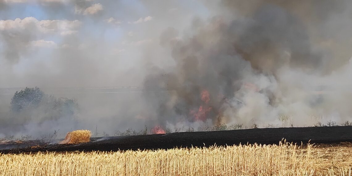 Zi de foc pentru pompierii timișeni