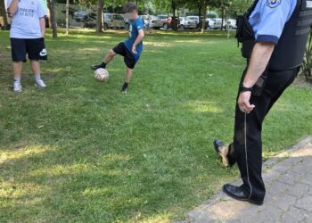 Parcurile din oraș, în atenția polițiștilor locali! S-au aplicat deja 150 de amenzi