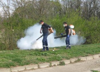 Acțiune de dezinsecție împotriva țânțarilor în luna iulie