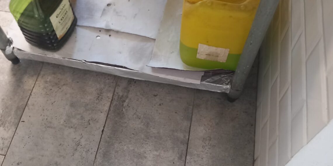 Muște, mizerie, marfă expirată. Restaurant din Giroc închis de Protecția Consumatorilor/Video