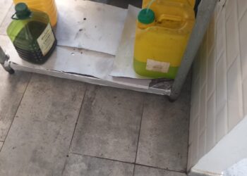 Muște, mizerie, marfă expirată. Restaurant din Giroc închis de Protecția Consumatorilor/Video