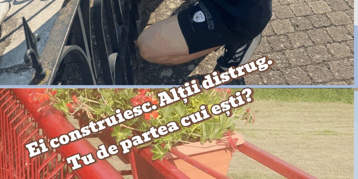 Copiii plantează, alții distrug. Primăria din Lugoj cere ajutorul cetățenilor în fața nepăsării